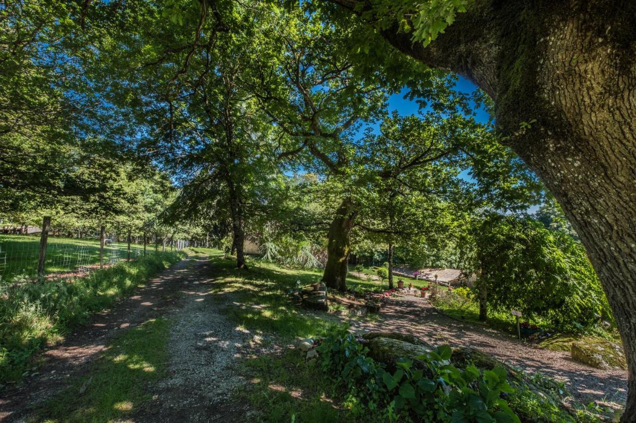 Domaine De Malouzies Hotel Fonties-Cabardès Eksteriør billede