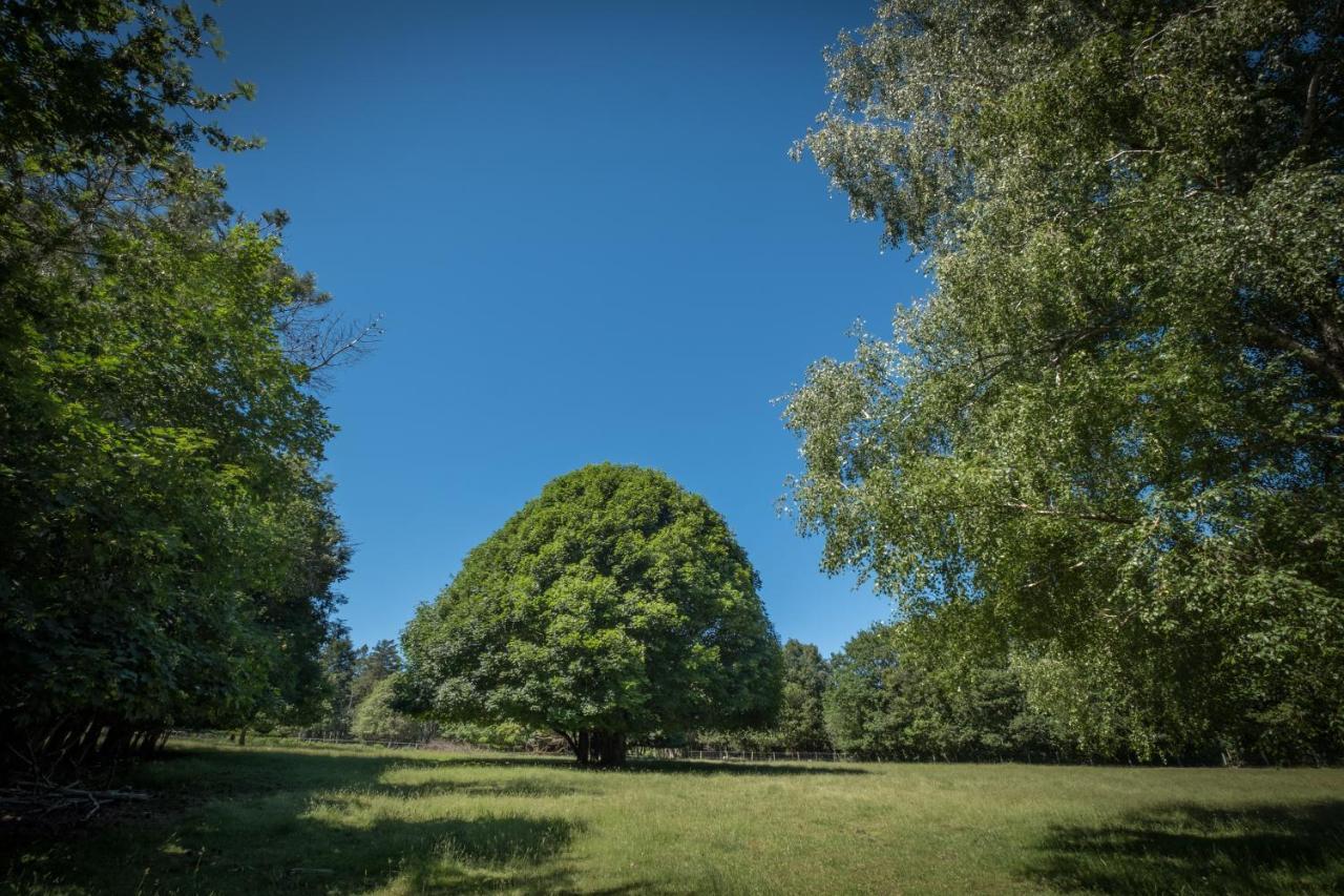 Domaine De Malouzies Hotel Fonties-Cabardès Eksteriør billede